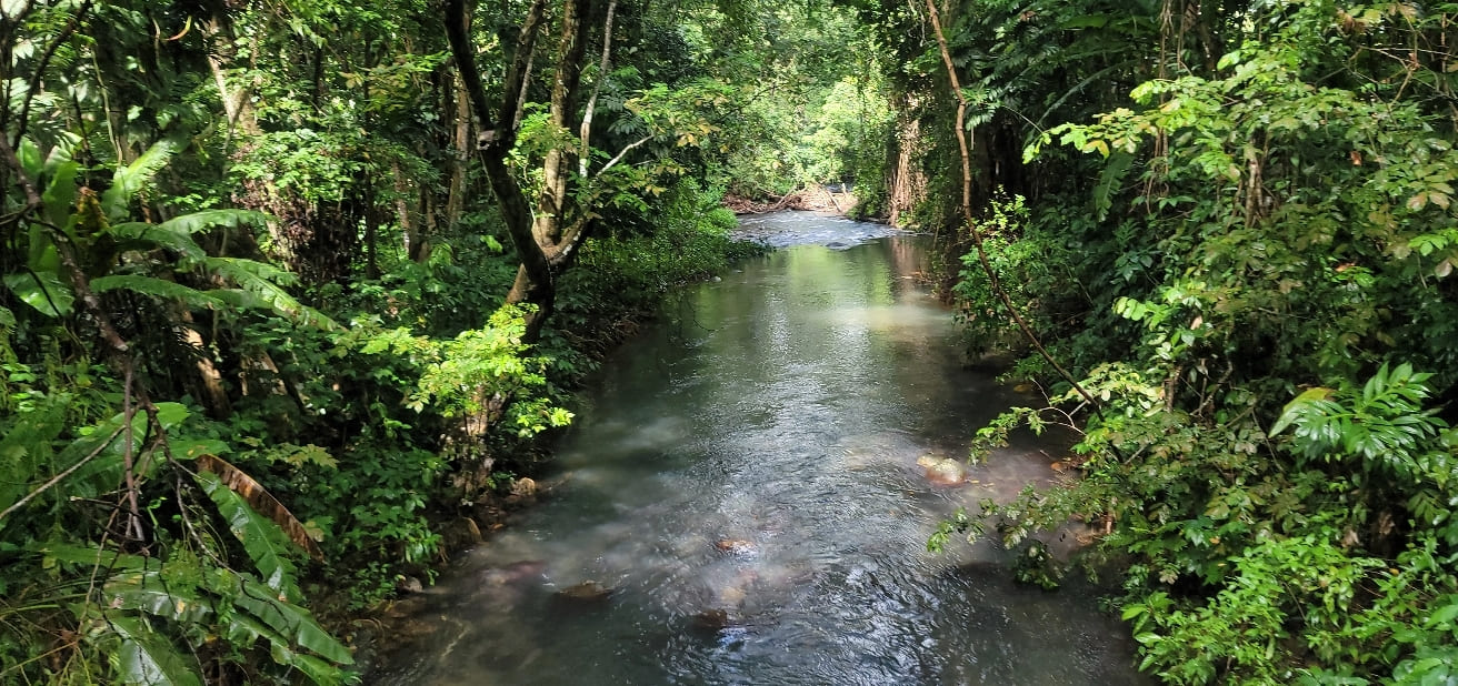iles-des-saintes-guadeloupe