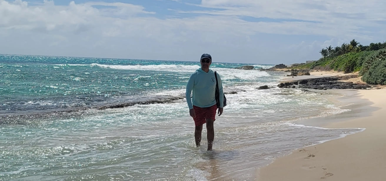 tintamarre-island-swim-turtles