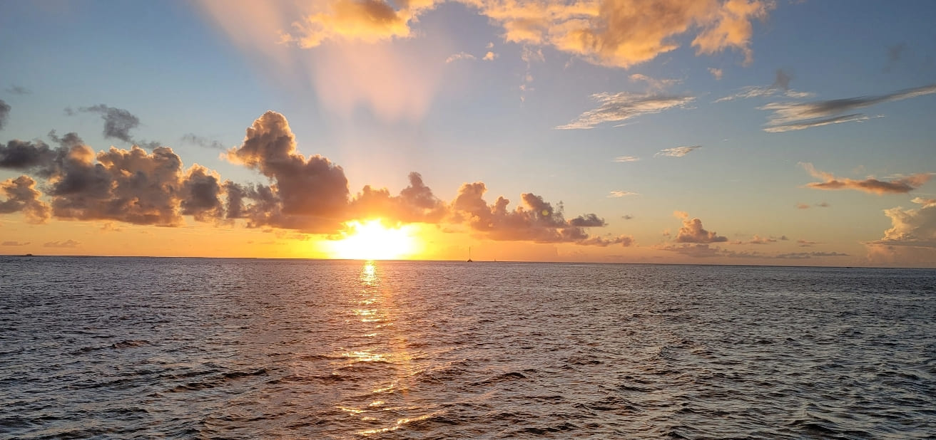 tobago-cays-marine-sanctuary